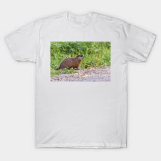 The Beaver in the wild T-Shirt